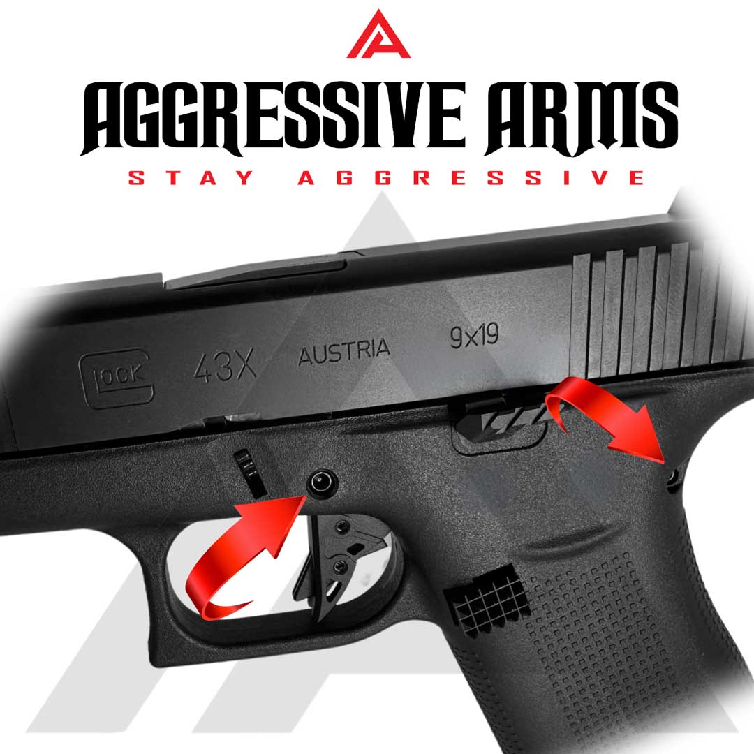 Aggressive Arms 43 BLACK PINS2